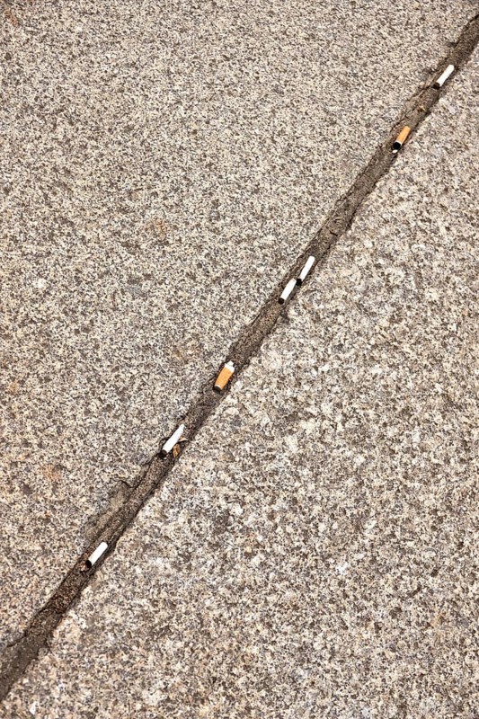 Discarded cigarette butts, footpath, Germany