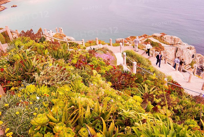 Minack Theatre, spectacular open-air theatre, circular path with lush planting, South England, Cornwall, England, GB