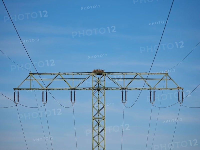 An osprey nest on a power pole, Mecklenburg-Western Pomerania, Müritz region, Germany