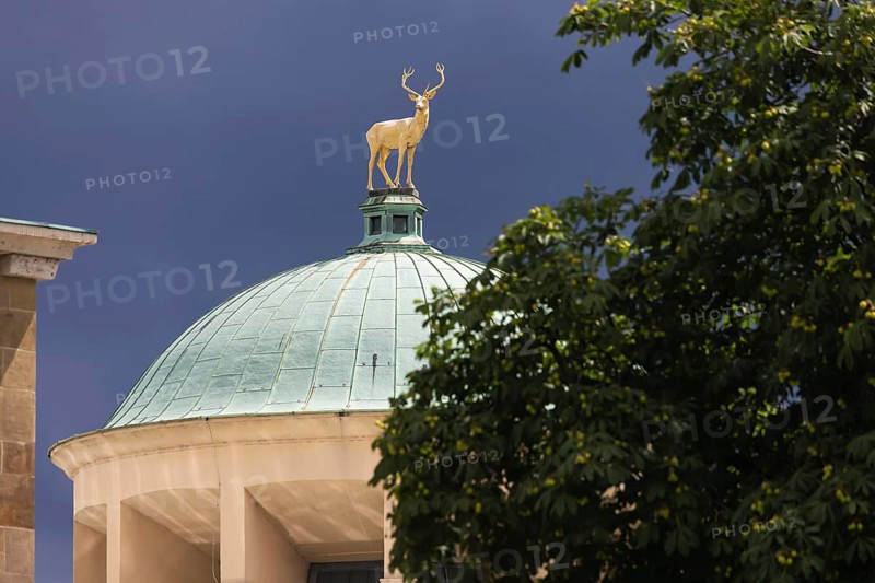 Art building on Schlossplatz designed by architect Theodor fisherman. A golden stag stands on the dome. The sculpture was designed by sculptor Ludwig Habich. Stuttgart, Baden-Württemberg, Germany