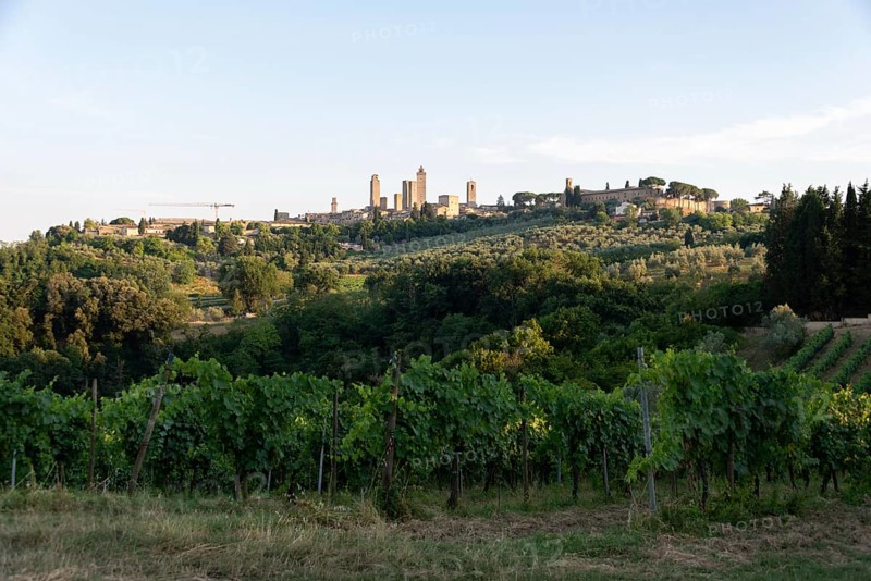 San Gimignano, also known as Medieval Manhattan, UNESCO World Heritage Site, San Gimignano, Tuscany, Italy