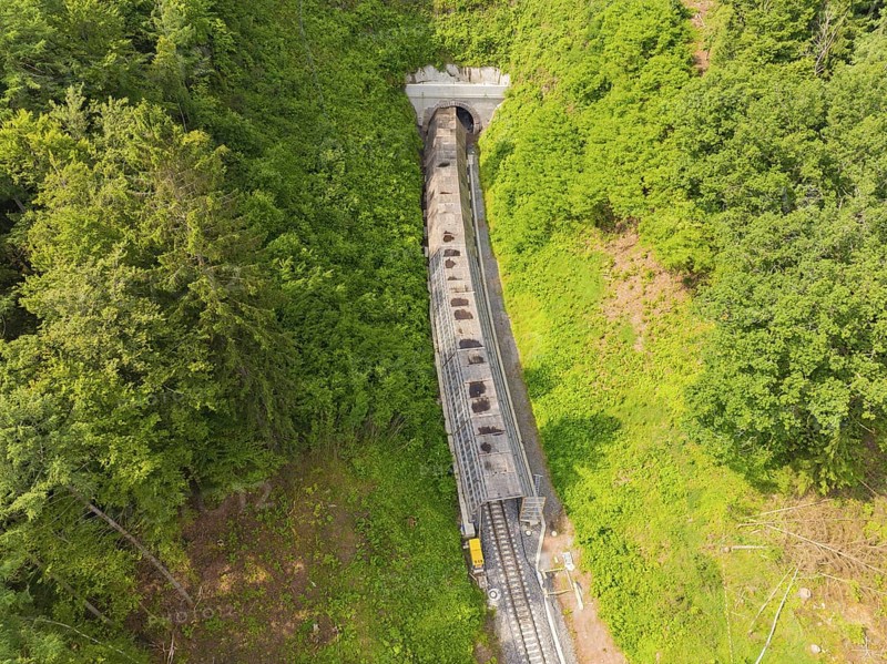 A train runs through a tunnel surrounded by dense forest, construction of the Hermann Hesse railway, Calw, Germany