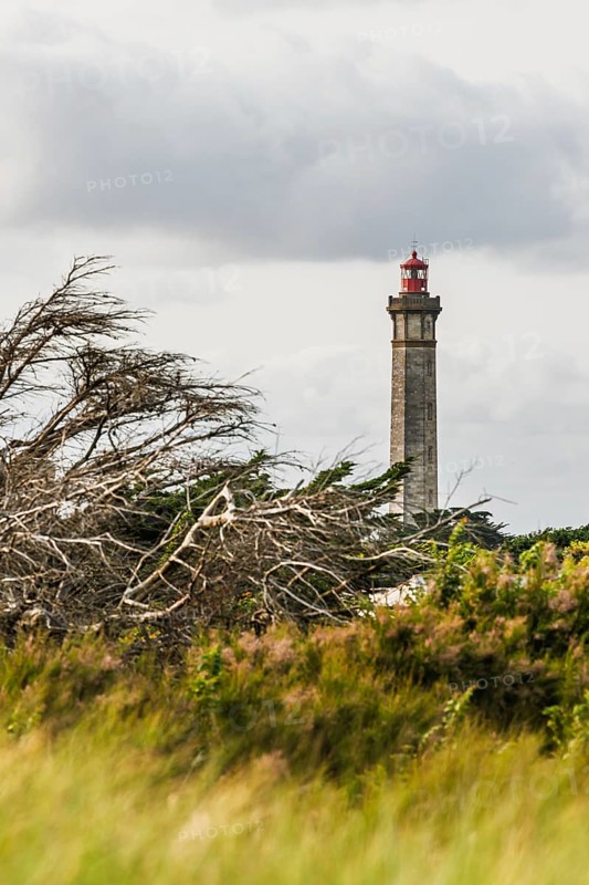 WHALE LIGHTHOUSE, Saint-Clement-des-Baleines, Atlantic, France