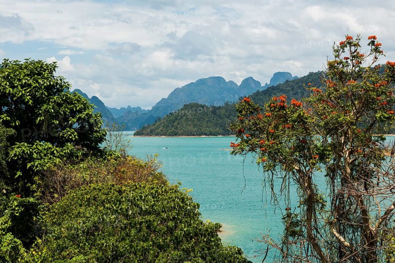 Lake with jungle and rainforest and steep mountains, Cheow Lan Lake, Khao Sok National Park, Phang Nga, Surat Thani, Thailand