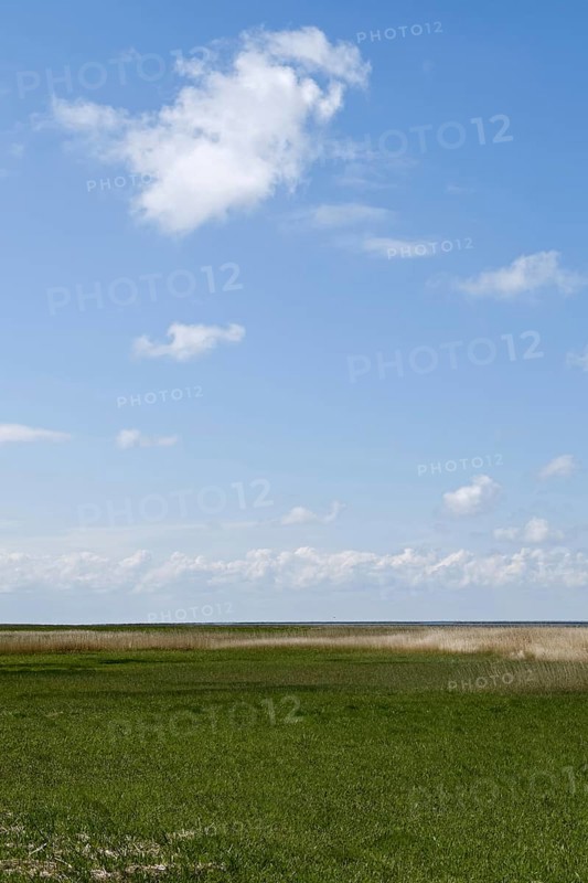Salt marshes on the North Sea, North Sea coast, dyke foreland between Duhnen, Sahlenburg and Arensch, valuable nature reserve, important bird breeding area, bird sanctuary, habitat of numerous endangered coastal plants, Wadden Sea of Lower Saxony, Northern Germany, Cuxhaven, Duhnen, Sahlenburg, Lower Saxony, Germany, Western Europe