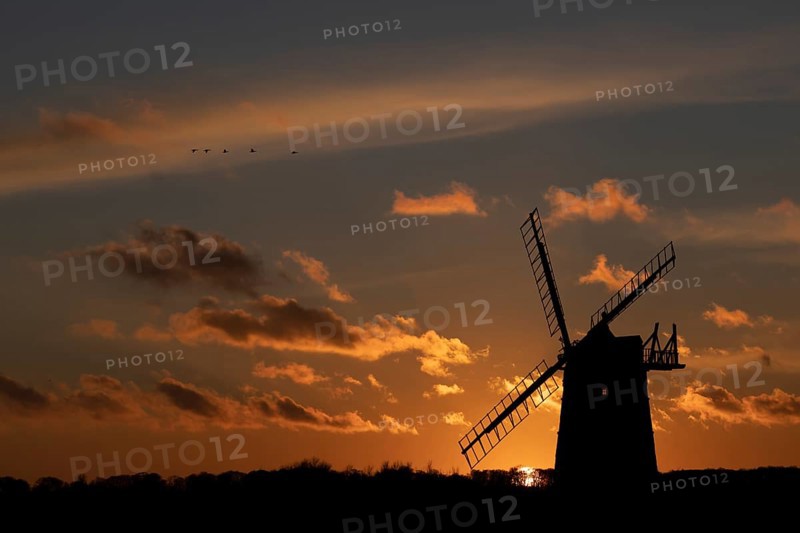 Windmill silhouette at sunset with a red sky and a skein or flock of Pink-footed geese (Anser brachyrhynchus) birds flying above, Burnham Ovary Staithe, Norfolk, England, United Kingdom