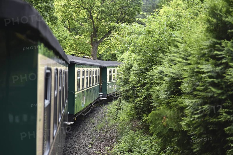Raging Roland railway carriage on Rügen, Mecklenburg-Western Pomerania, Germany