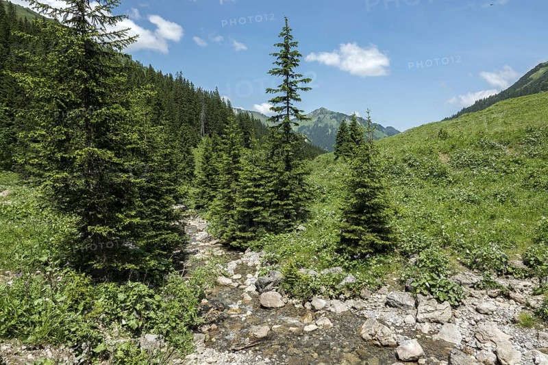 Bärgunttal, behind Walmendinger Horn, near Baad, Kleinwalsertal, Allgäu Alps, Vorarlberg, Austria
