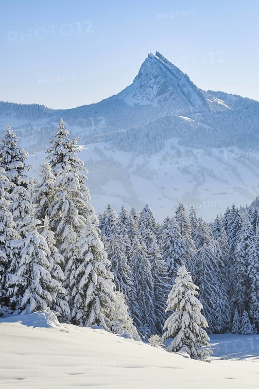 View of Sattelegg with Chöpfenberg in the background, Canton Schwyz, Switzerland