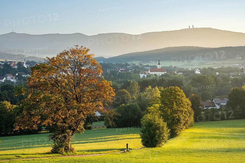 View from the pilgrimage church Weißenregen over Bad Kötzting to the Hohenbogen (Hoher Bogen) . In the centre right the parish church Mariä Himmelfahrt. In the morning. Bad Kötzting, District of Cham, Upper Palatinate, Bavarian Forest, Bavaria, Germany