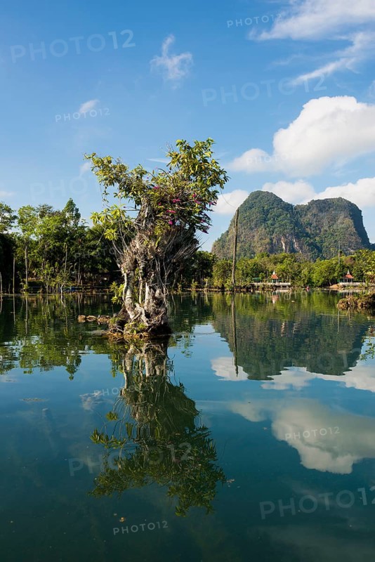 Lagoon, Klong Rud, Klong Nam Sai, Ao Nang, Krabi, Thailand