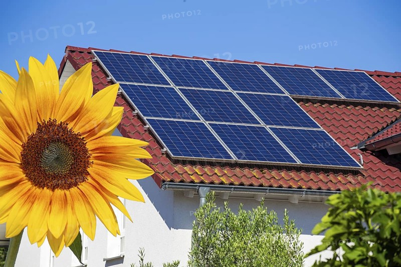 (Photomontage) Solar roof on a detached house with sunflower in the foreground