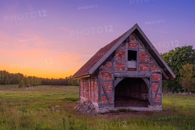 View of an open half-timbered barn standing on a pasture in the sunset, meadow, spring, awakening, new, colours, season, landscape photo, nature photo, flora, fauna, landscape format, pasture, grasses, lowland, sky, clouds, Stöckse, Steimbke, Nienburg Weser, Lower Saxony, Germany