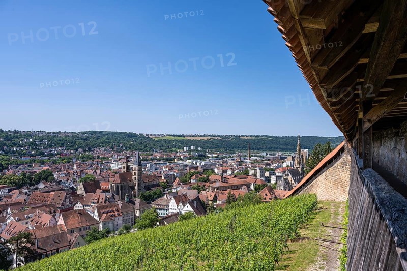 View from the Seilergang, defence wall of Esslingen Castle, down to the old town of Esslingen with the Zwiling towers of the town church of St. Dionys, Esslingen am Neckar, district of Esslingen, Baden-Württemberg, Germany