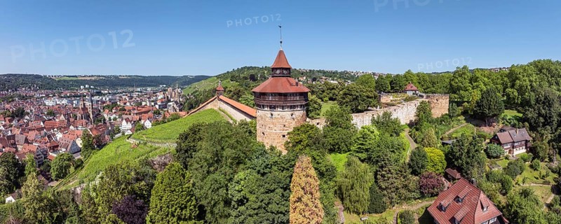 Aerial view, panorama of the city of Esslingen am Neckar with Esslingen Castle, Dicker Turm, Seilergang and vineyard, district of Esslingen, Baden-Württemberg, Germany