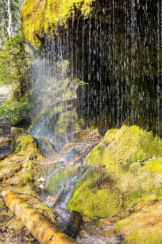 Dietfurt Waterfall, a moss waterfall in the Wutach Gorge, Black Forest, Baden-Württemberg, Germany