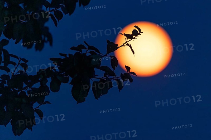 Full moon, (super moon) Münsterland, North Rhine-Westphalia