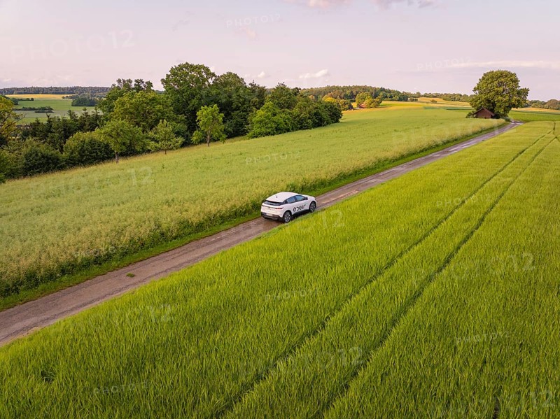 Car on a rural road between green fields and trees in the evening light, Deer E- CarSharing, Renault Megane electric car, Calw, Black Forest, Germany