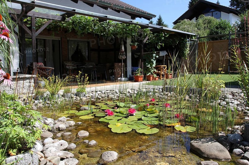 Garden pond with house terrace in midsummer, Allgäu, Bavaria, Germany, Allgäu, Bavaria, Germany