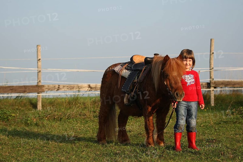 Girl with Shetland pony, Allgäu, Bavaria, Germany, Allgäu, Bavaria, Germany