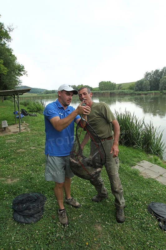 Fishermen, anglers, caught white fish (Leuciscinae) are weighed and then released, South Hungary, Hungary, South Hungary, Hungary