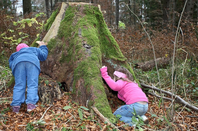 Girls discovering nature, children in nature, love of nature, Allgäu, Bavaria, Germany, Allgäu, Bavaria, Germany