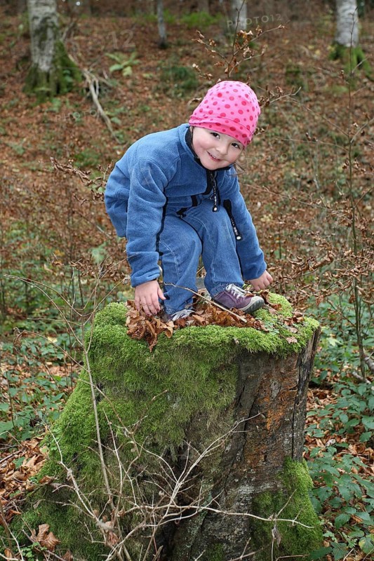 Girl playing in the forest, child in nature, love of nature, Allgäu, Bavaria, Germany, Allgäu, Bavaria, Germany