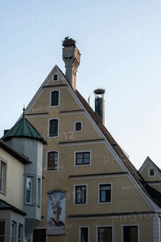White storks (Ciconia ciconia) on the stork house, Memmingen, Bavaria, Germany