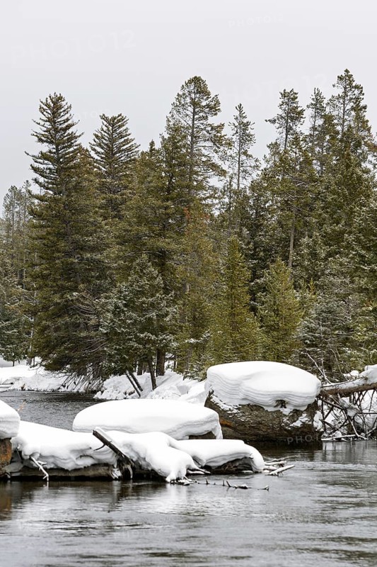 Snow on the Firehole River... Yellowstone National Park, North America, impressively beautiful river in the southwest of Yellowstone National Park, United States in deep winter with high snow conditions, nature in Yellowstone NP, Wyoming, United States of America
