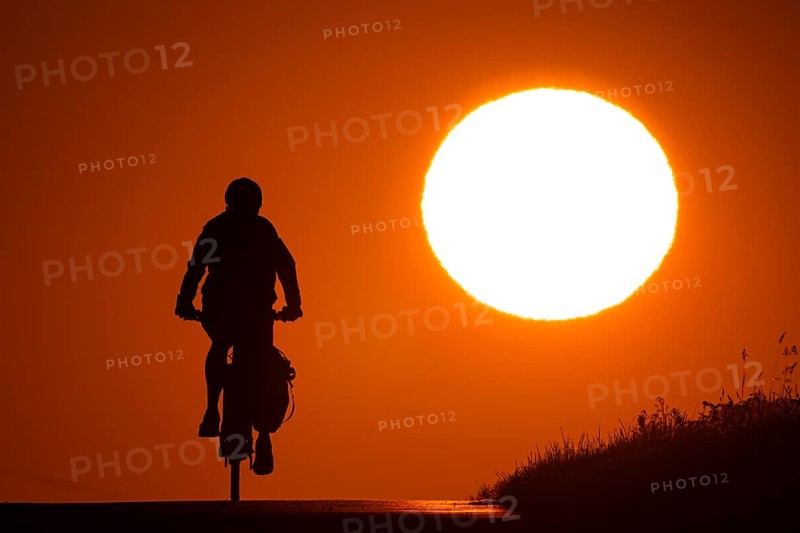 A bicycle rides at sunrise on a country lane near Frankfurt am Main, Frankfurt am Main, Hesse, Germany