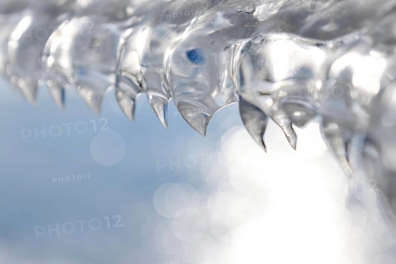 Shark teeth... Ice formations (winter flood 2020, 2021) formed from wind and water on an ice sheet after receding floodwaters, weather conditions, Bislicher Insel near Xanten, nationally known nature reserve, Wesel district, Lower Rhine, Rhineland, North Rhine-Westphalia, Germany, Western Europe