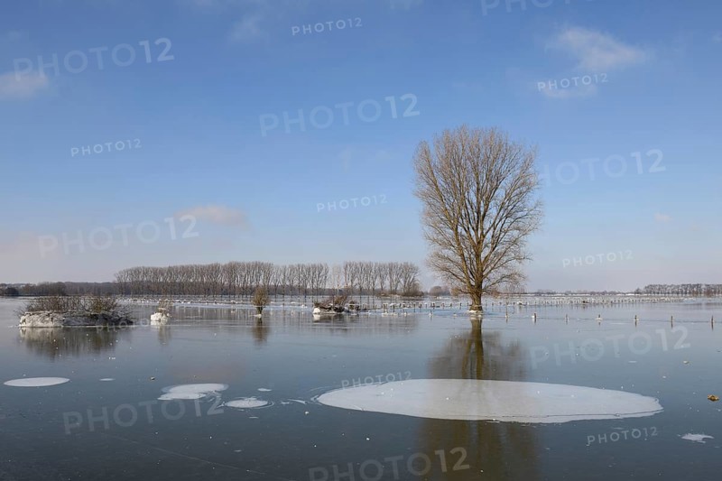 Land under ice... frozen winter flood (Lower Rhine), Bislicher Insel, after the Rhine flood came the frost, weather conditions, Bislicher Insel near Xanten, nationally known nature reserve, Wesel district, Lower Rhine, Rhineland, North Rhine-Westphalia, Germany, Western Europe