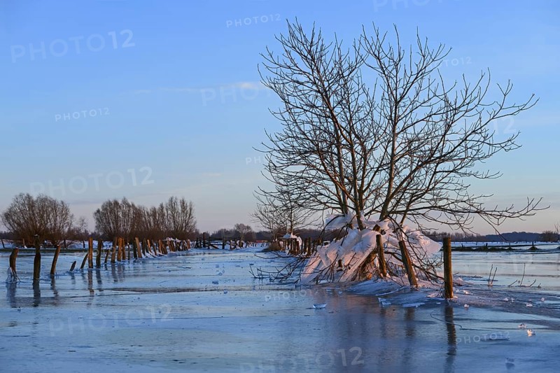 Landfall, ice age on Bislicher Insel... Winter mood (Lower Rhine), after the flood came severe frost, freezing large areas of water, weather conditions, Bislicher Island near Xanten, nationally known nature reserve, Wesel district, Lower Rhine, Rhineland, North Rhine-Westphalia, Germany, Western Europe
