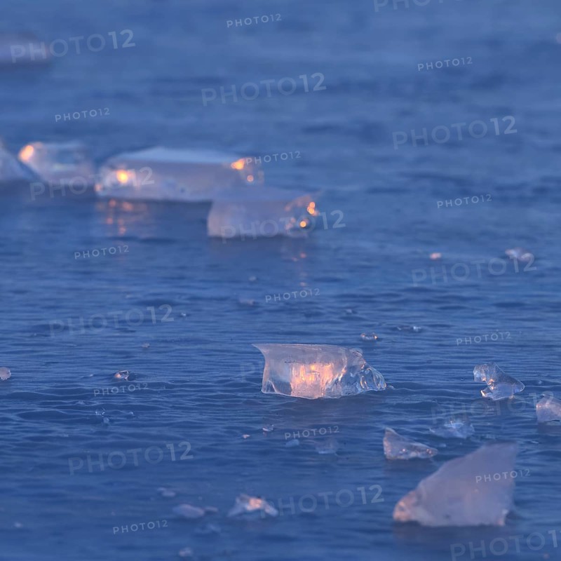 Blue ice... Ice sheets (high water on the Lower Rhine), ice sheets on an ice surface in the early morning light, weather conditions, Bislicher Insel near Xanten, nationally known nature reserve, Wesel district, Lower Rhine, Rhineland, North Rhine-Westphalia, Germany, Western Europe