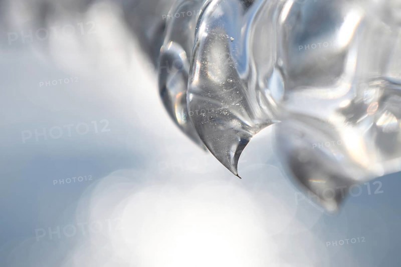 Needle point... Ice tooth (winter flood and cold snap 2020, 2021), ice formed by wind, weather and floods, weather situation, Bislicher Insel near Xanten, nationally known nature reserve, Wesel district, Lower Rhine, Rhineland, North Rhine-Westphalia, Germany, Western Europe