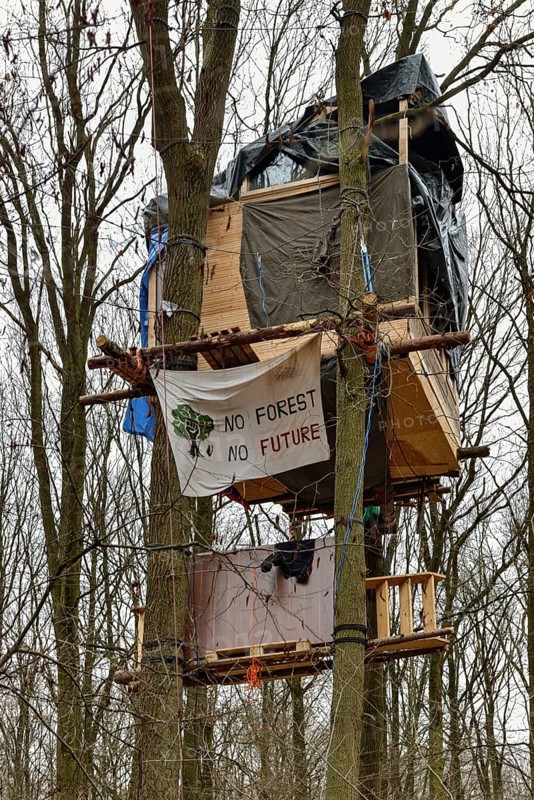 Standing up for the preservation of the forest... Tree house in Hambach Forest, environmental activists occupy trees to protest against the clearing of the forest for open-cast lignite mining. Hambach Forest became a nationally recognised symbol of resistance in the fight against climate change and global warming. For years, environmental and climate activists lived in tree houses to protest against deforestation. Hambach Forest, Düren district, North Rhine-Westphalia, Germany, Western Europe