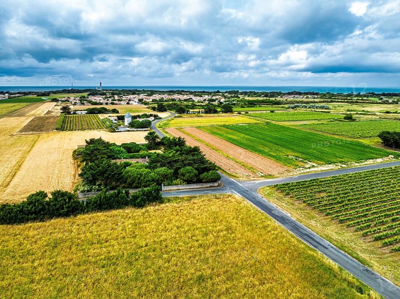 Fields and Grape plantations from a drone, Saint-Clement-des-Baleines, Atlantic, France