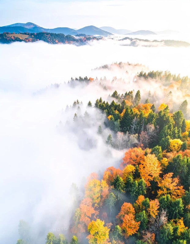 Mystical foggy landscape in autumn, colorful forest with fog in an aerial drone view, AI generated