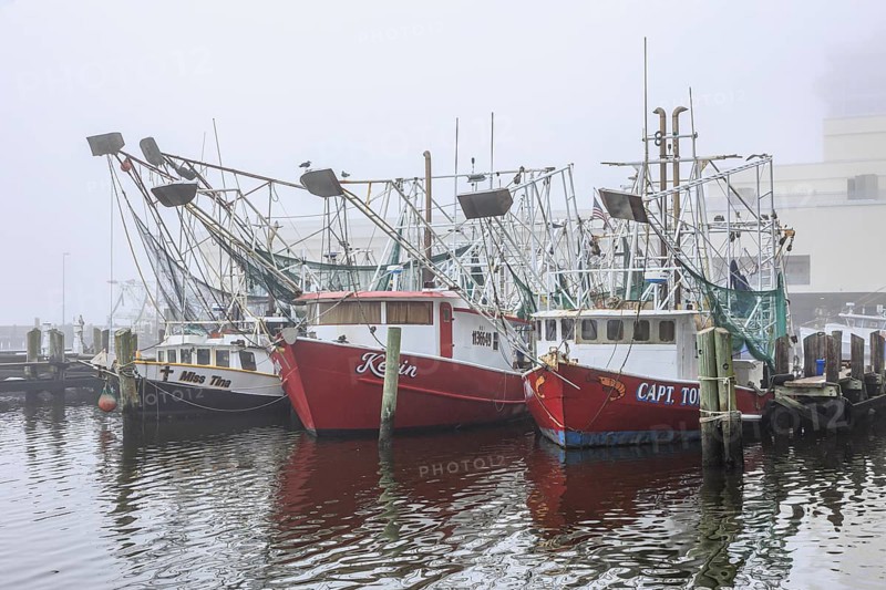 Commercial shrimp boats at the dock in the commercial area of the Biloxi Small Craft Harbor in Biloxi, Mississippi