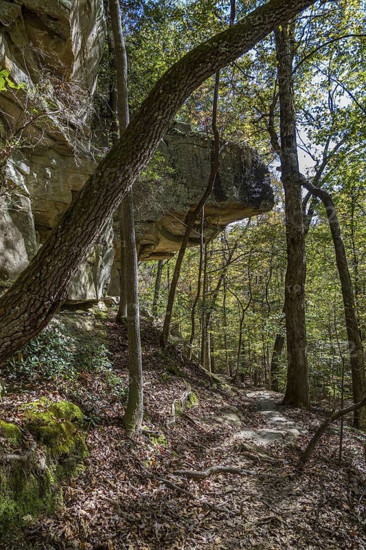 Rock outcropping along hiking trail in Tishomingo State Park in northeast Mississippi