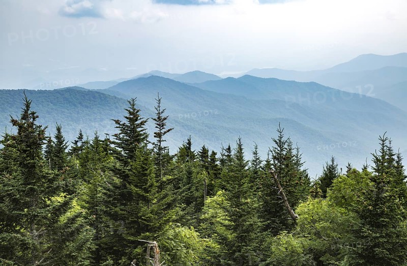 Hazy Blue Ridge Mountains in the distance behind evergreen trees near Clingman's Dome in Tennessee