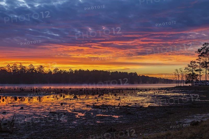 Stumps protrude from low water in Geiger Lake at sunrise in Paul B. Johnson State Park near Hattiesburg, Mississippi, USA