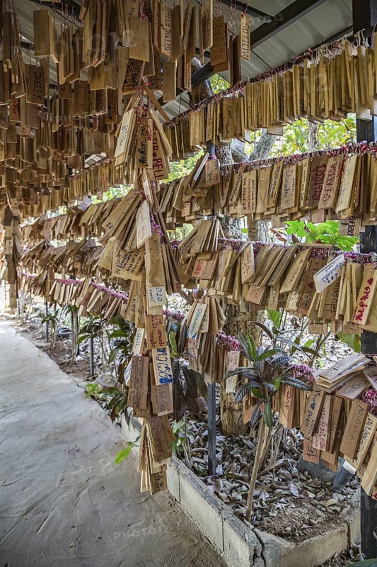 Plaques with messages from prrevious customers hang at entrance to the Akha Cottage restaurant and coffee shop in Chiang Rai, Thailand