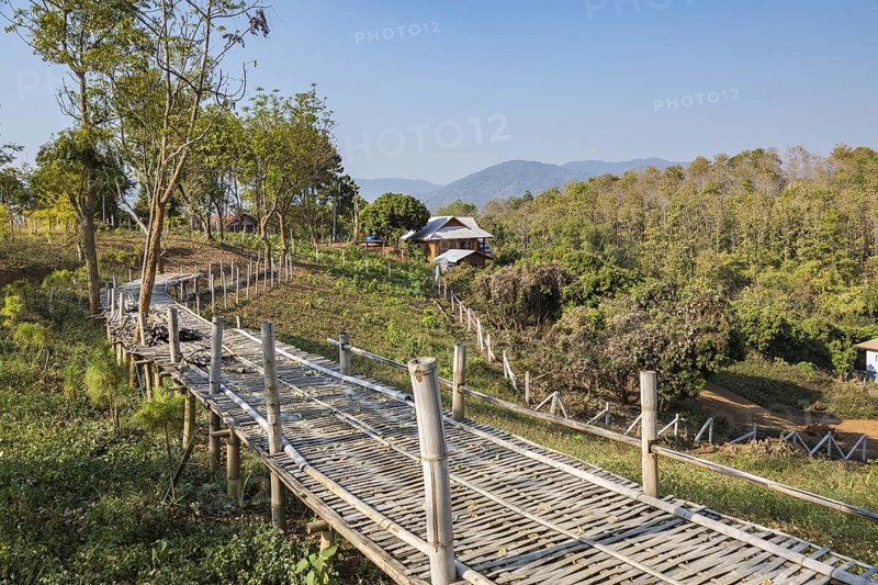 Raised bamboo walkway bridge in disrepair leads to farmhouse on a hillside near the Akha Cottage coffee shop and restaurant in Chiang Rai, Thailand