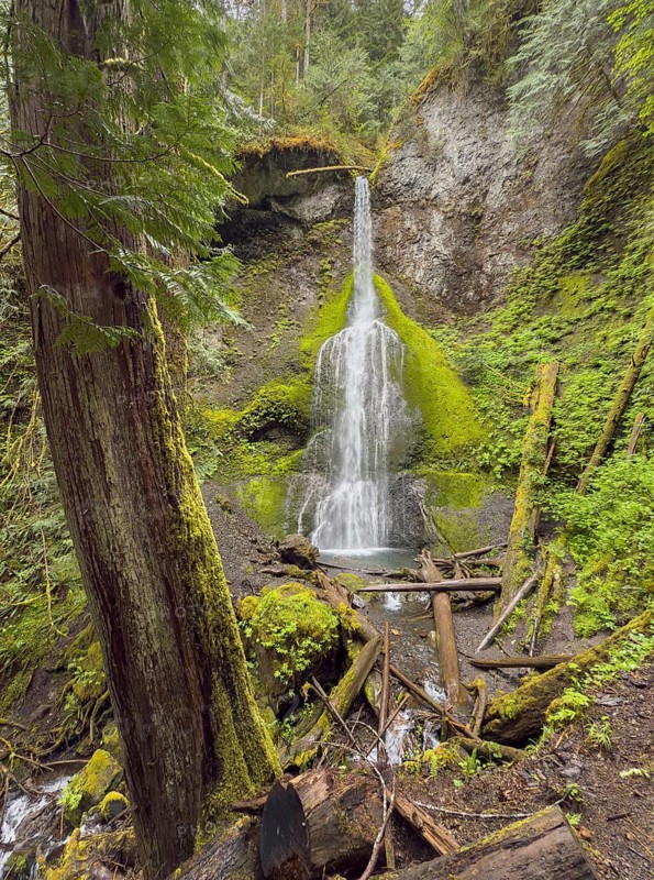 Marymere Falls waterfall, Lake Crescent, Olympic National Park, Washington, USA, North America