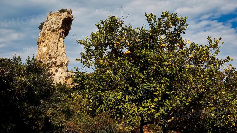 Large rock towering over a flowering tree in a natural setting under a cloudy sky, Neapolis Archaeological Park, Syracuse, Sicily, Italy