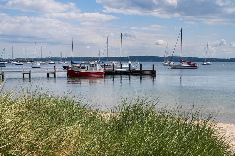 Sailing boats at the jetty, seaweed in front, harbour, dark clouds, Eckernförde, Baltic Sea, Schleswig-Holstein, Germany