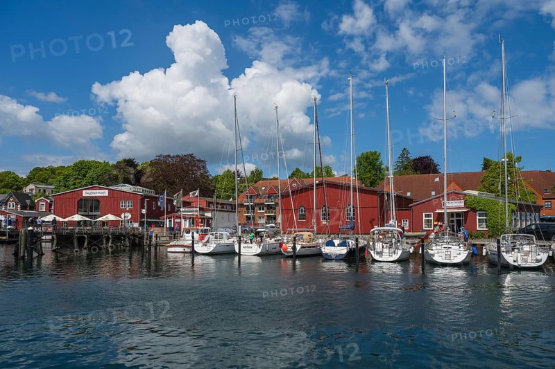 Sailing boats in the harbour, building, sea rescue, marina, Eckernförde, Baltic Sea, Schleswig-Holstein, Germany