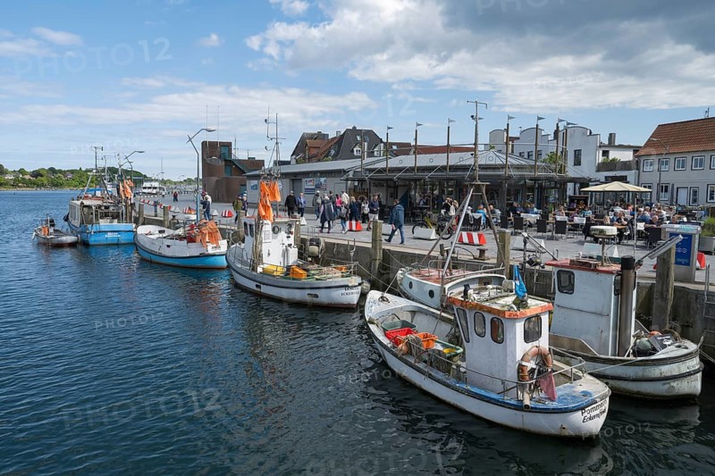 Fishing boats in the harbour, Eckernförde, Baltic Sea, Schleswig-Holstein, Germany