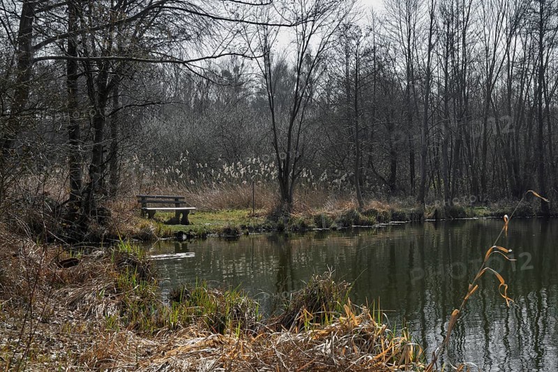 Former anti-tank ditch from the 2nd World War, Westwall, Steinfeld, Southern Palatinate, Palatinate, Rhineland-Palatinate, Germany